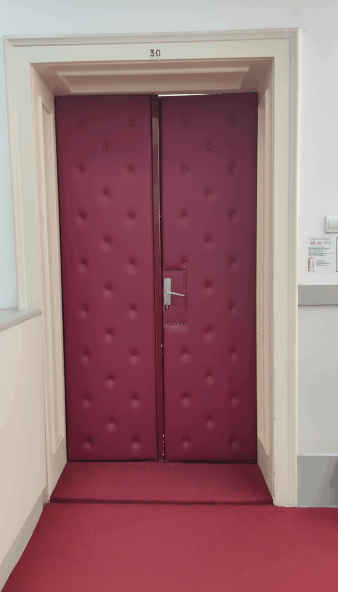 Završene dve sednice niške Skupštine posle više od 17 sati rasprave 10 vrata corrected