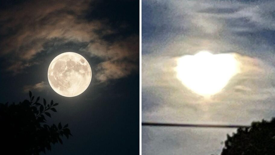 77243ad0 cc6d 11f0 a892 01d657345866