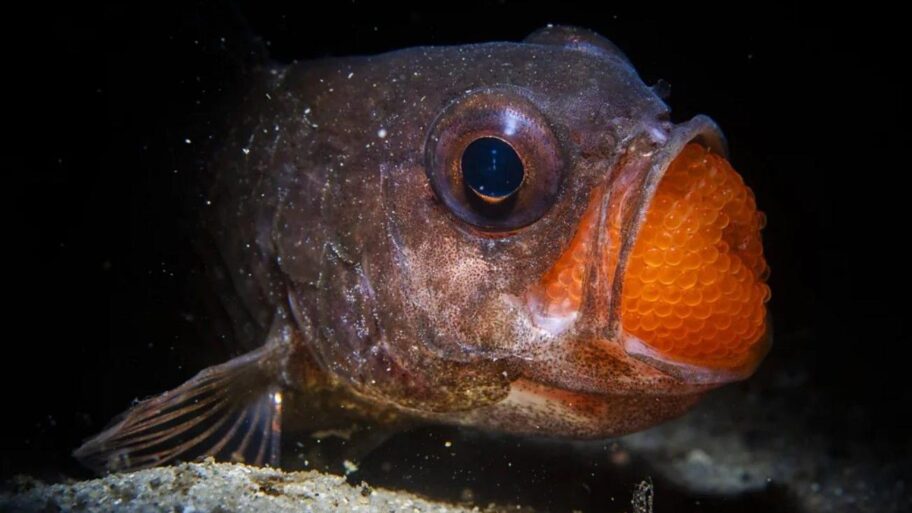 9dfc36f0 df5d 11f0 a7ad b72dffdf9dfd