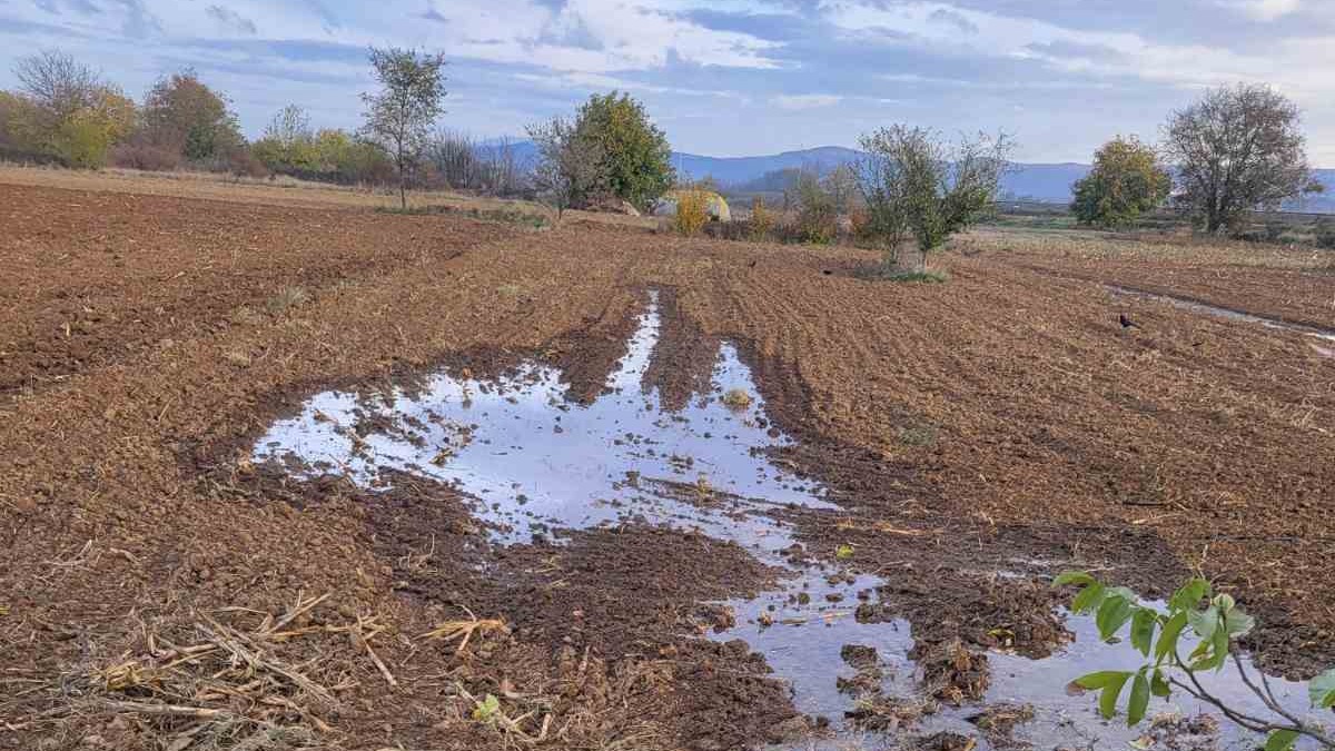 Nišlije se žale na nereagovanje Vodovoda: Jednom voda potapa žito, drugom ugrožava temelj kuće 1 Fotografije poplave 2