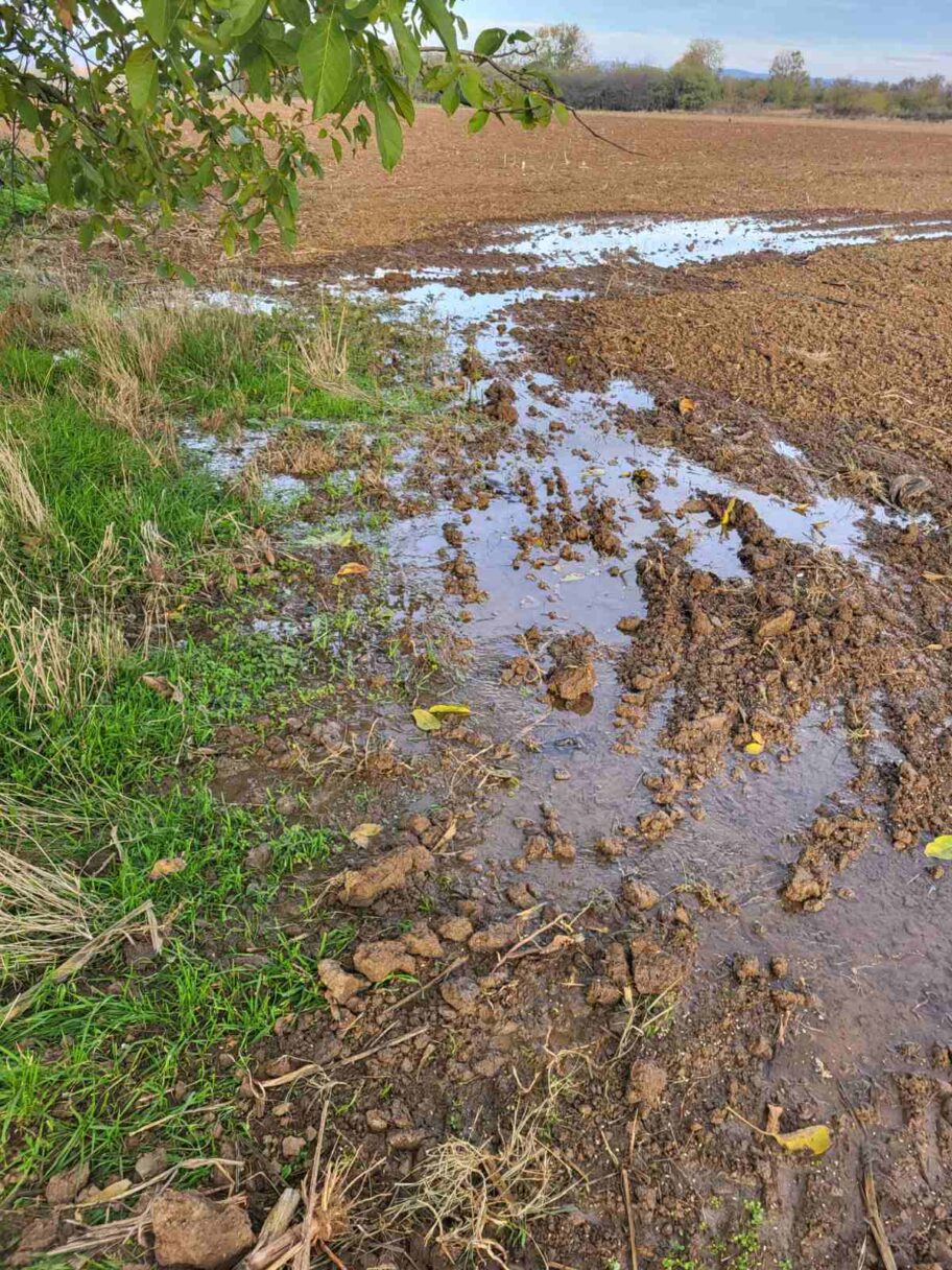 Nišlije se žale na nereagovanje Vodovoda: Jednom voda potapa žito, drugom ugrožava temelj kuće 2 Fotografije poplave 7