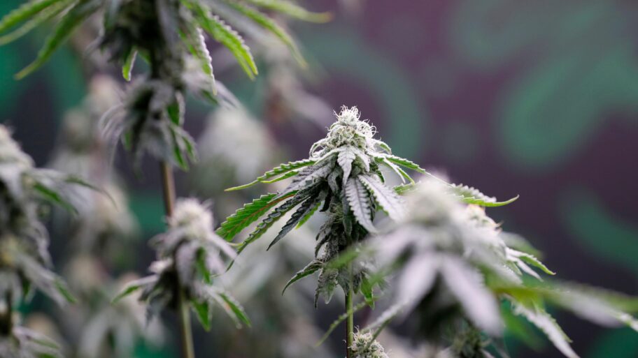 a0b668b0 e562 11f0 baf8 492205ca0c9f