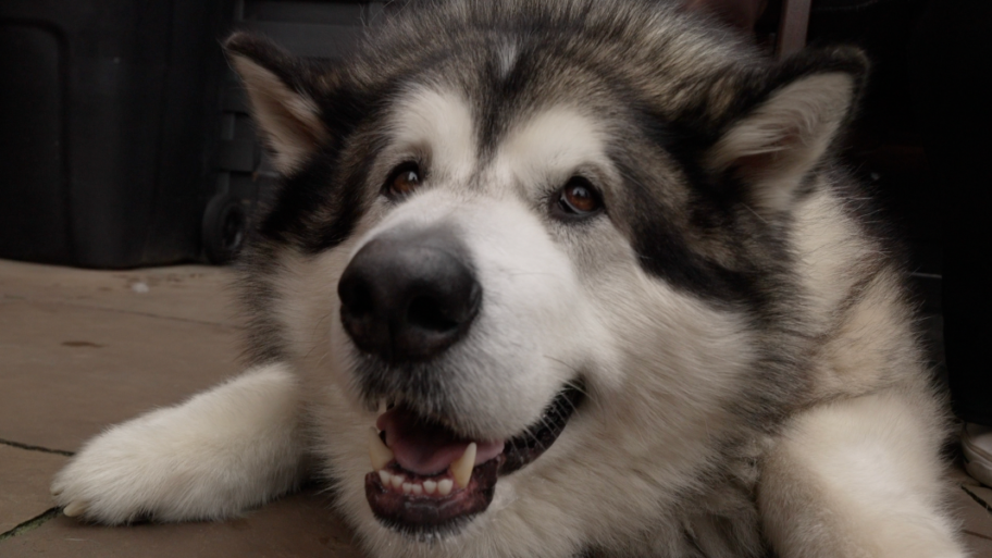 a110cf70 a5c1 11f0 add7 abf13599c13e