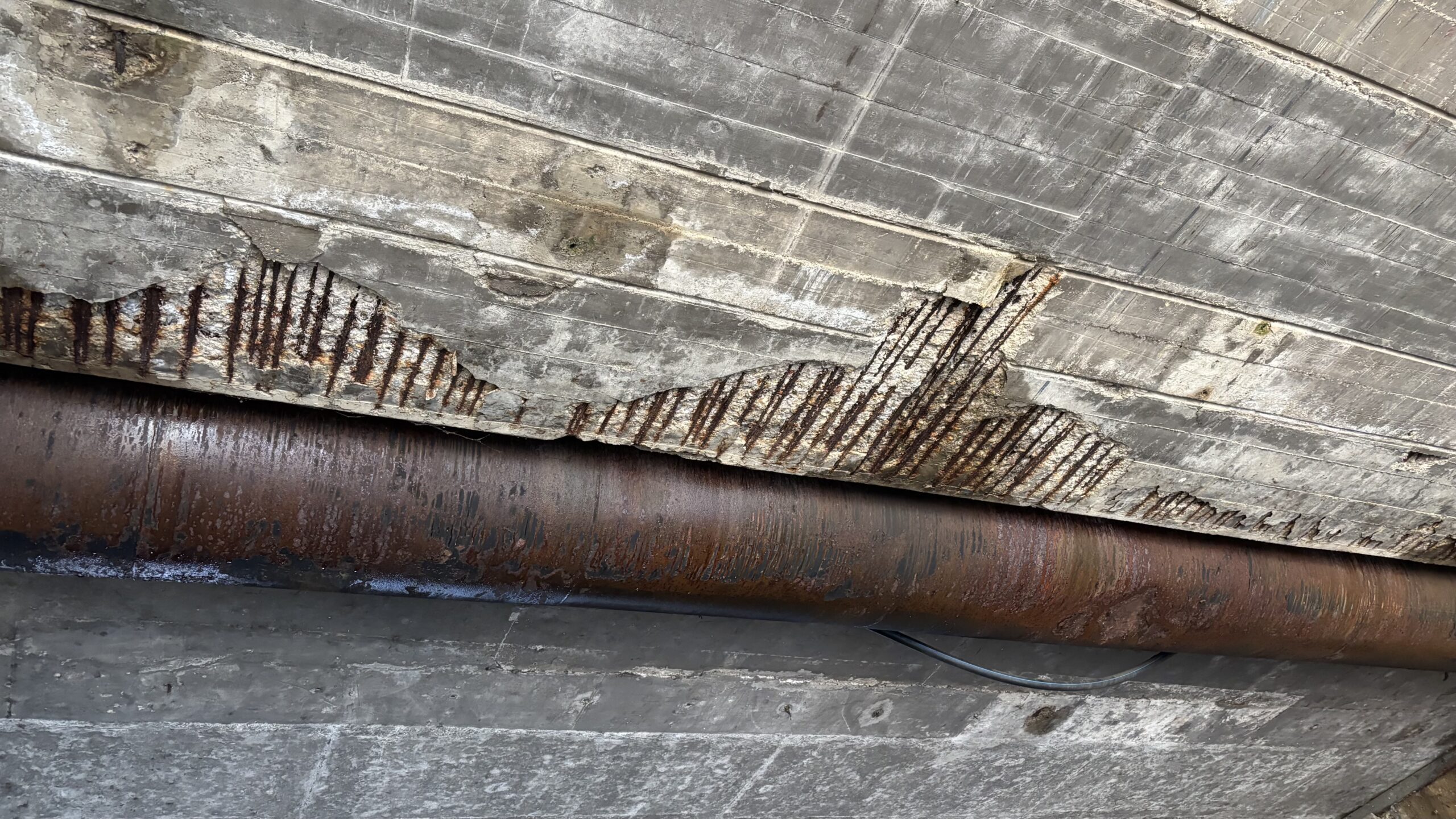 Iz "Puteva Srbije" tvrde da je nadvožnjak u Humskoj u Nišu bezbedan: "Oštećenja površinska" 1 img 4597 scaled