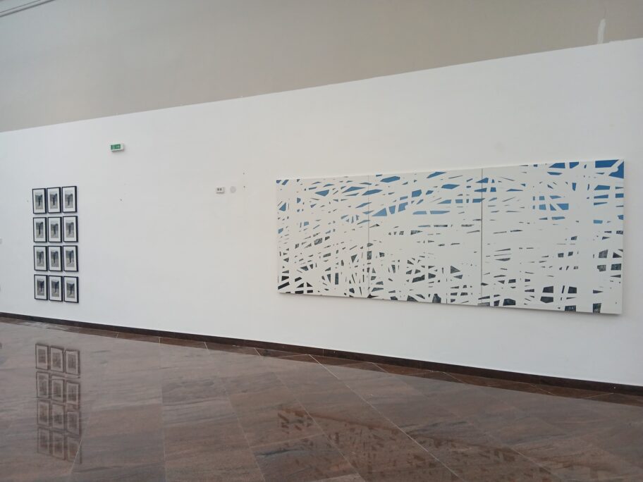 Izložba niškog umetnika u užem izboru za „Politikinu“ nagradu 2 nejednake geografije