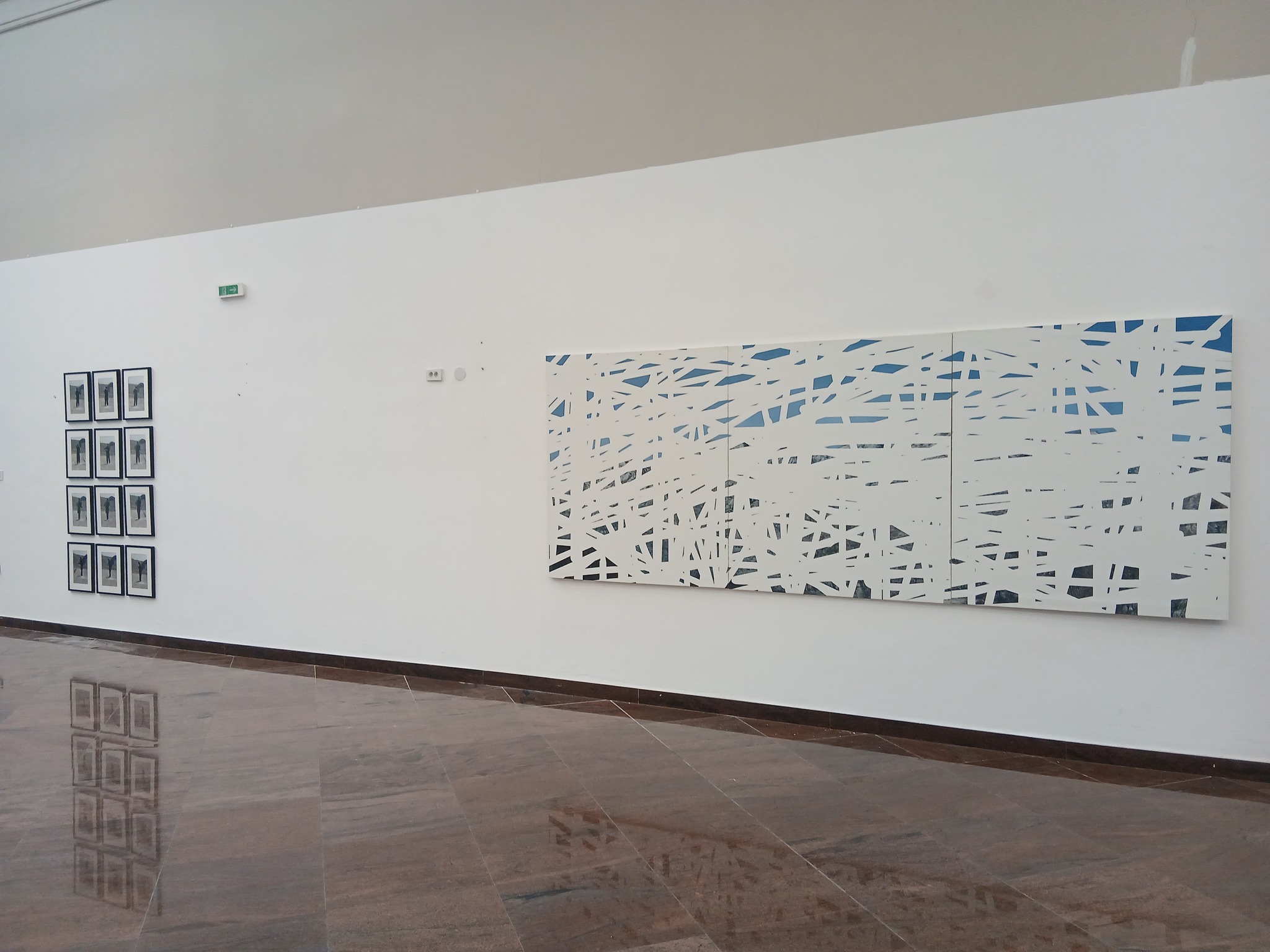 Izložba niškog umetnika u užem izboru za „Politikinu“ nagradu 1 nejednake geografije