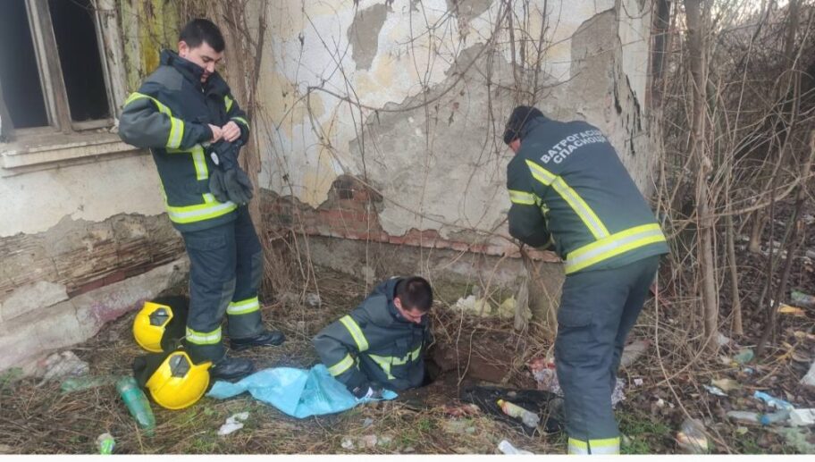 pas leskovac2 foto jasmina