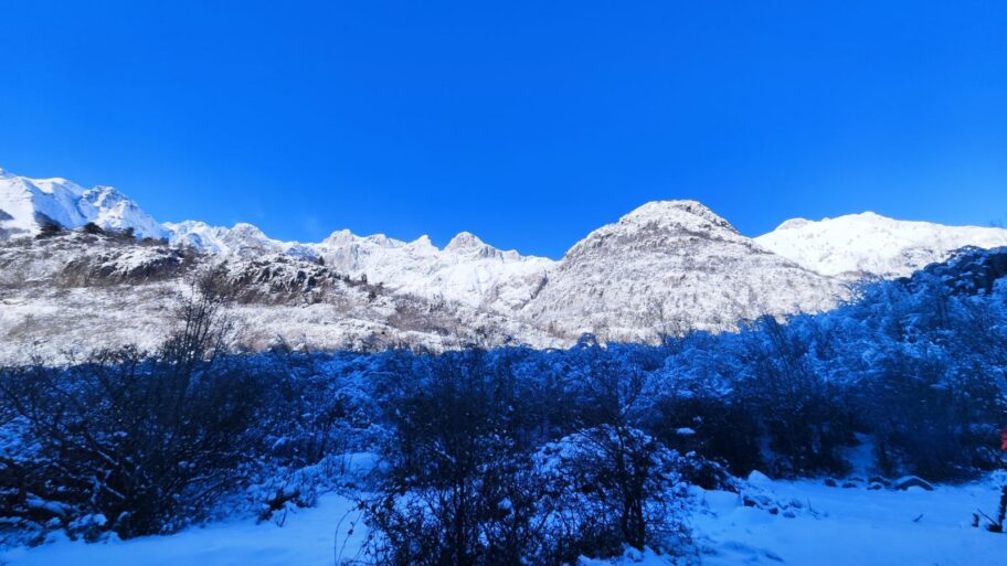 0 02 05 0ffc944b3a0a7ef2843d1fbc15084cb712135eb41c732537fc3bdb11c4da0bb3 2239ade531f