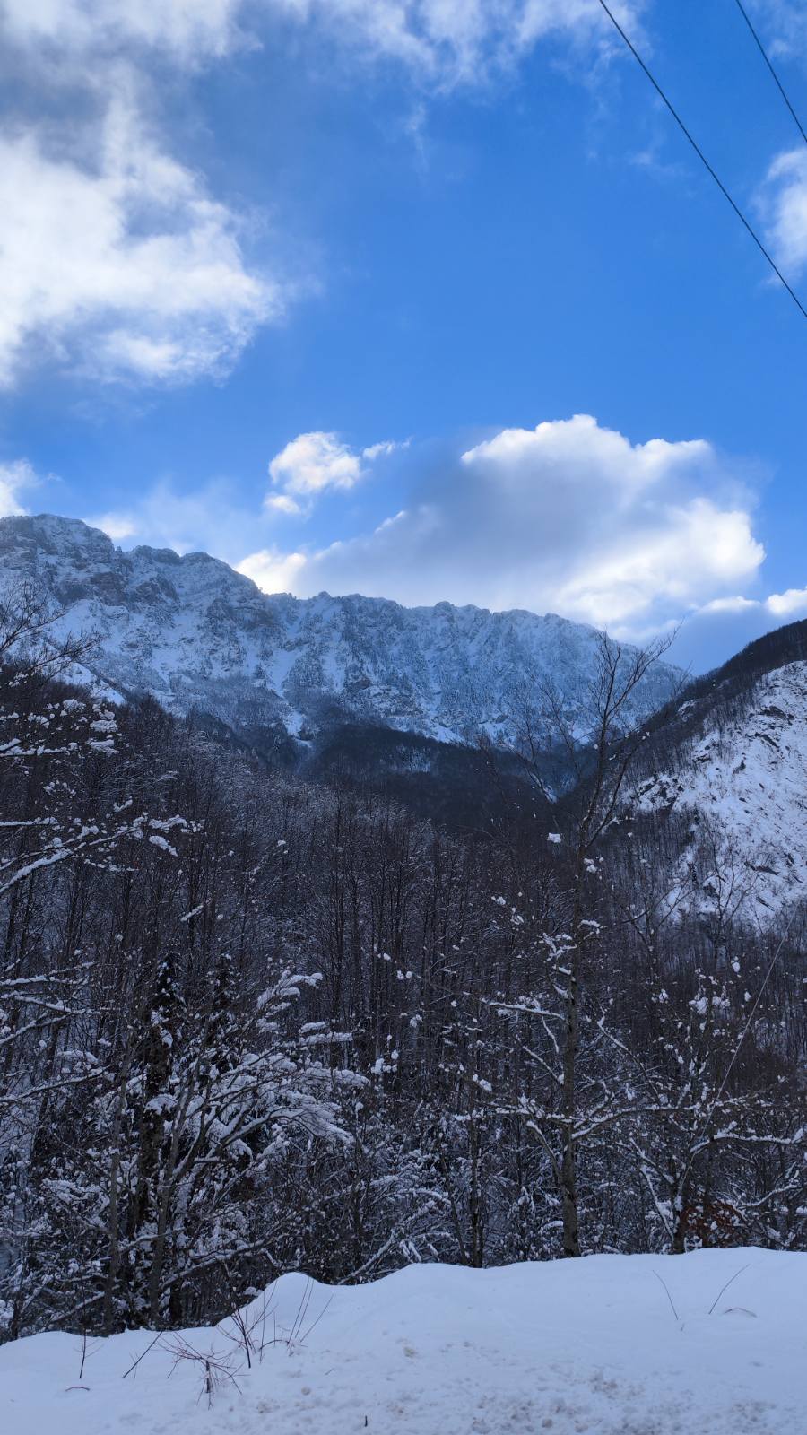 0 02 05 2e8d7ff178371052d3f4829ccbcc5d75d2918807818fccc56fa0fc255f5cc63e 2239ade7014