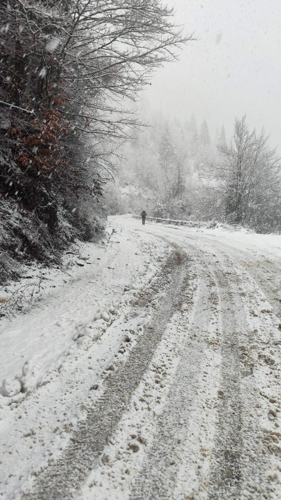 0 02 05 33aff8ed0036f4d0f300a7c29cebf05758b934f843d4ddac73c3e7c614a35d57 2239ad8cdab