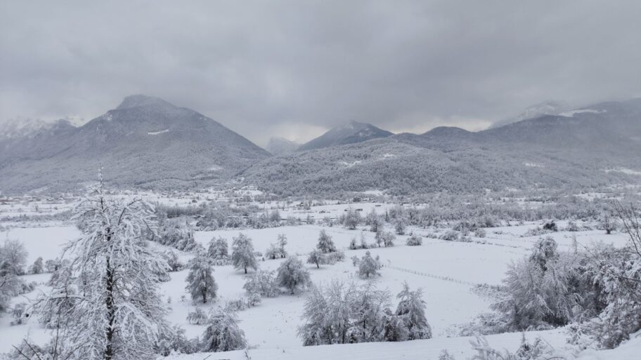 0 02 05 9c96538e3b1008b44cdb0994afacceeceae19825af8f4c278f1e7711df45861e 2239adb12d2