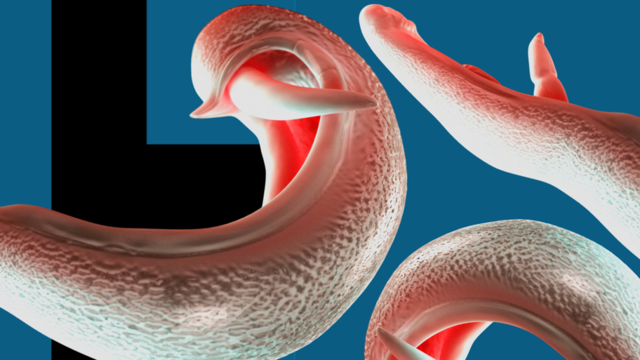 1cb1d450 fd2c 11f0 9972 d3f265c101c6