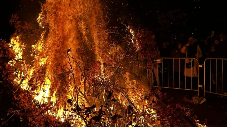 291ab334 7140 4405 aa22 e6abcde1a3e1