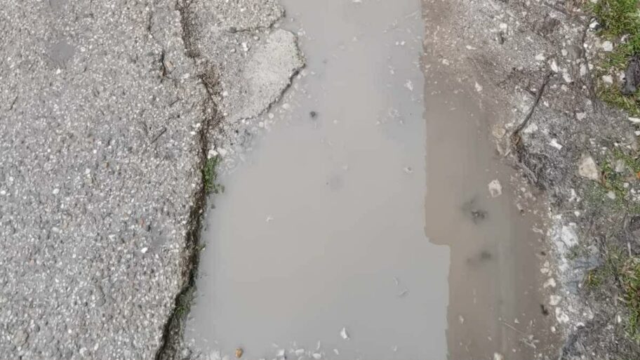 55c5fe5e 813b 40db bc29 81e9d76dc557