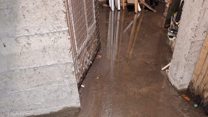 5ce0251b a8f3 4d71 8675 1a2a777ad5d3