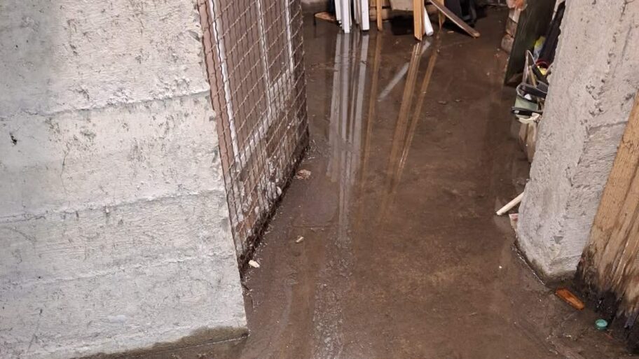 5ce0251b a8f3 4d71 8675 1a2a777ad5d3