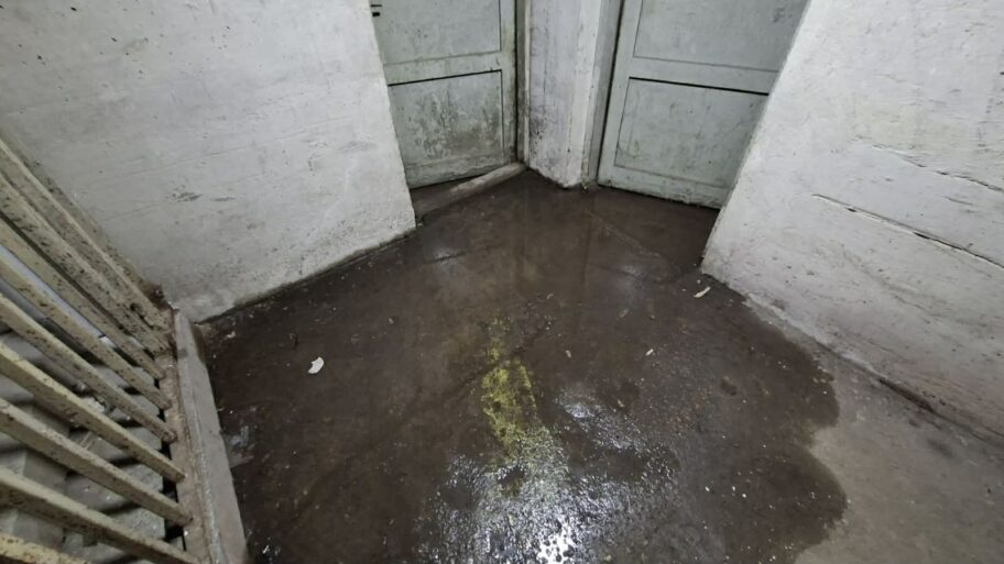 5fabca1f 242f 4ed1 86c0 b99a0b009a6f