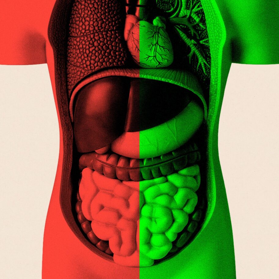 97e65b30 f761 11f0 a422 4ba8a094a8fa