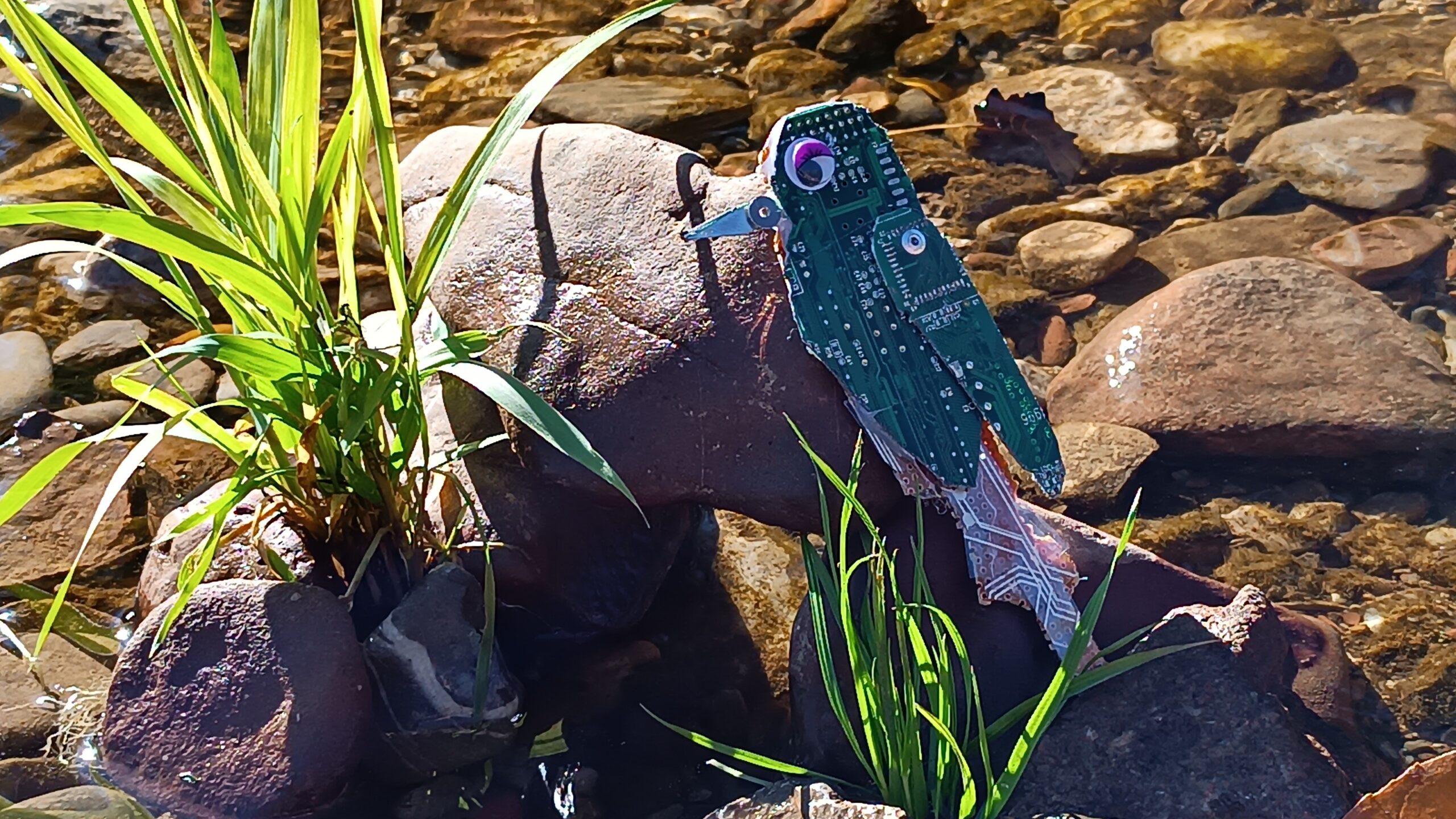 Danubian Future – Blue Code scaled