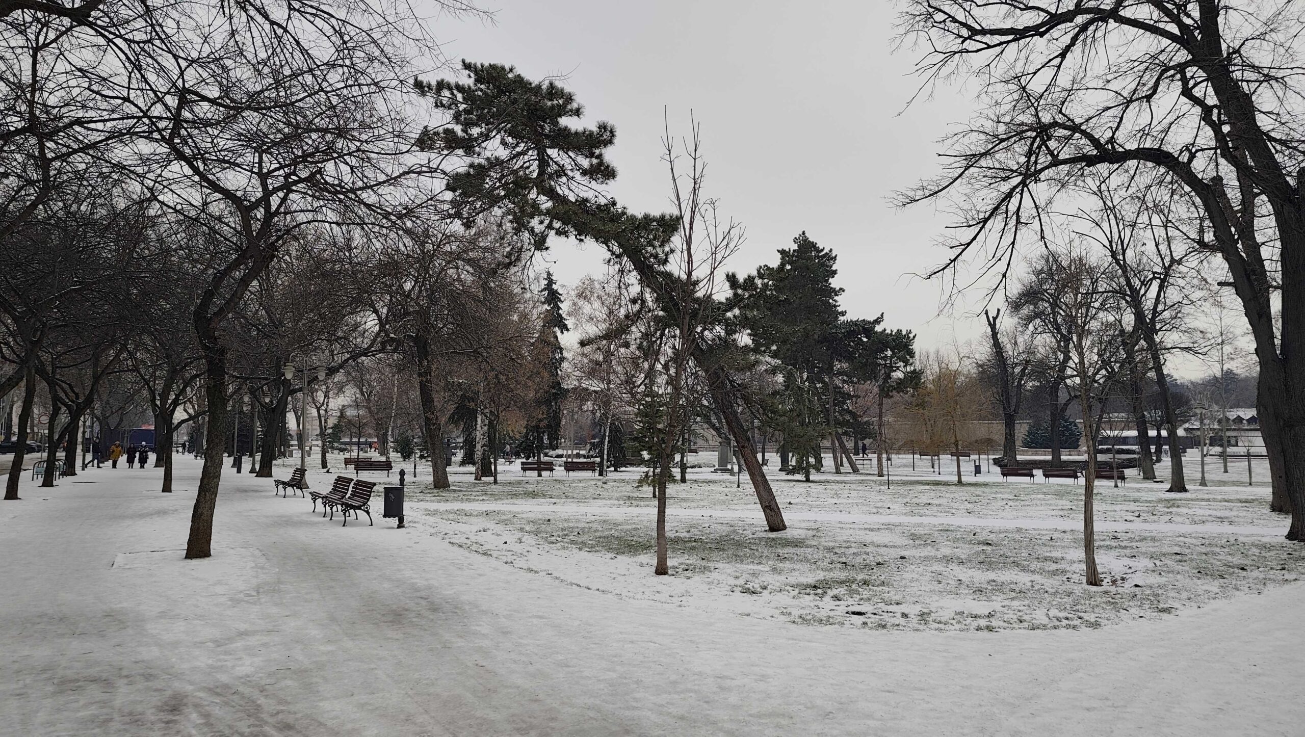 IMG 20260109 120426 scaled