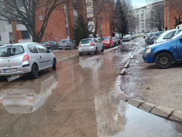 IMG 7453 e1769003513526