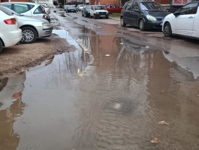 IMG 7454 e1768989728354