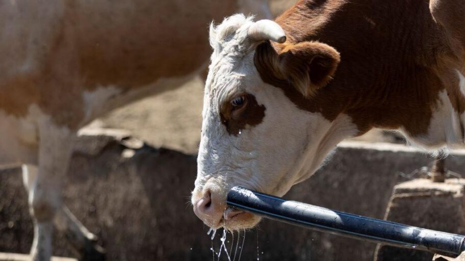 f2aa4660 fd03 11f0 9200 e148478a5756