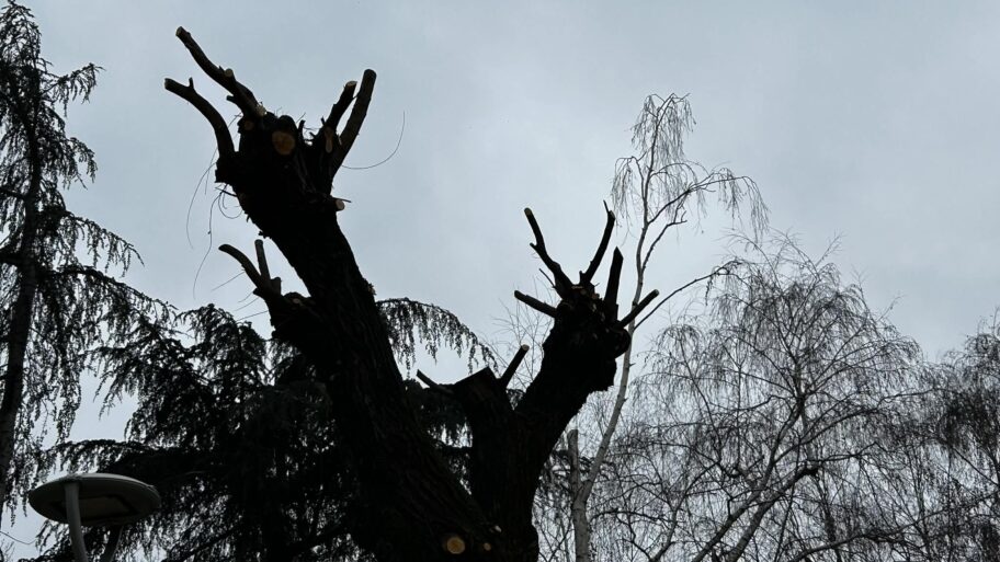 5652a5b0 bf0a 4caa 9e1a 38fc04d49907