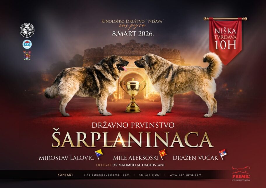 626024722 10229331651347417 6665117123109317239 n