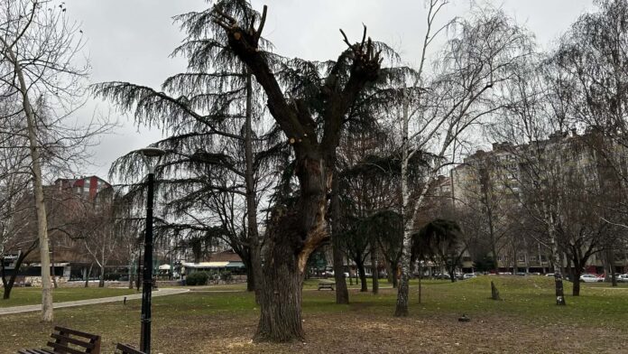 6ddcc92b 616b 4c74 bc76 21ef03cc99a0