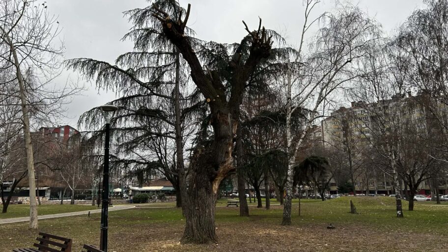 6ddcc92b 616b 4c74 bc76 21ef03cc99a0