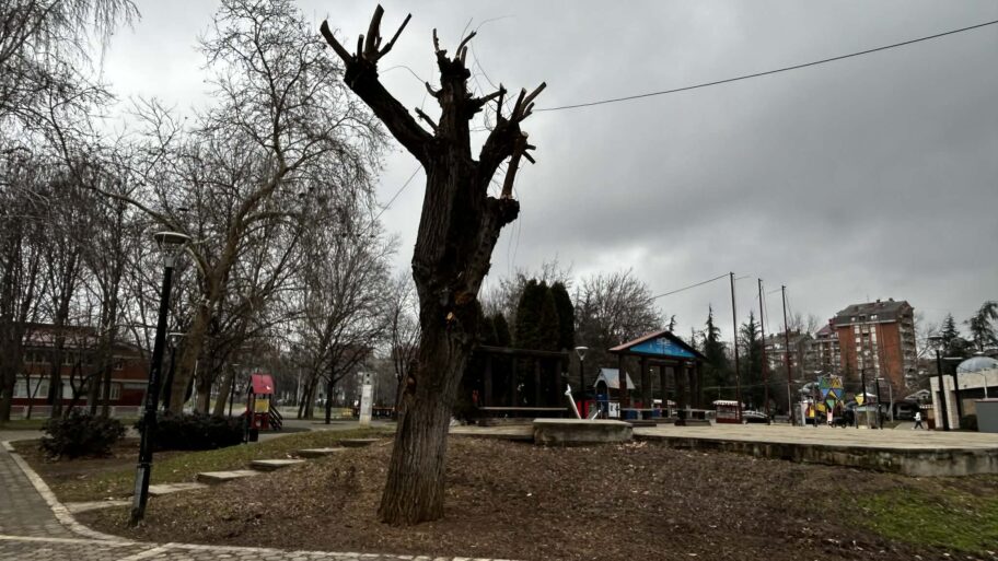 769a0d16 a846 4310 8ed9 d44ed18c8973