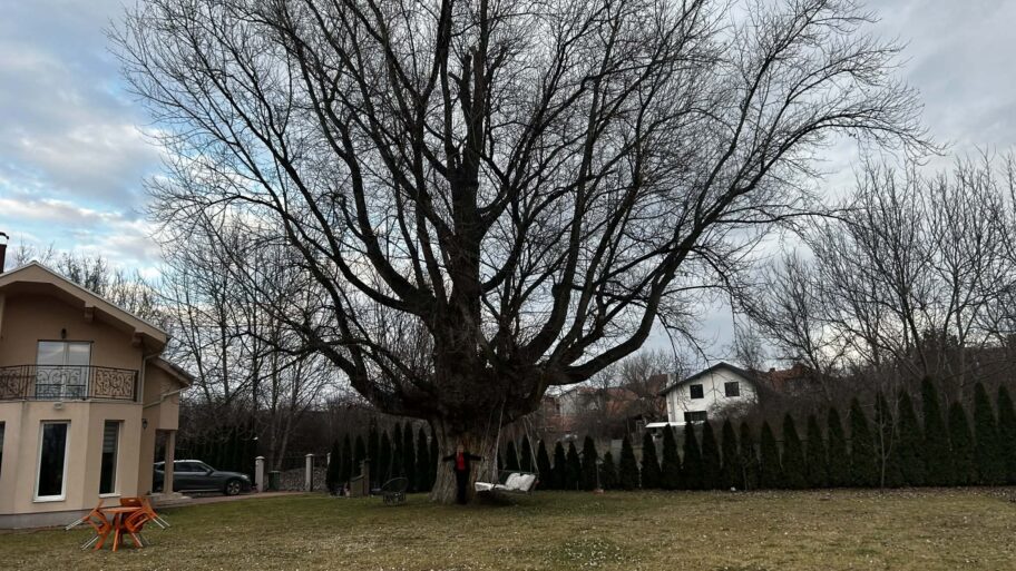 94e42337 7532 4339 a688 069858fea1d4