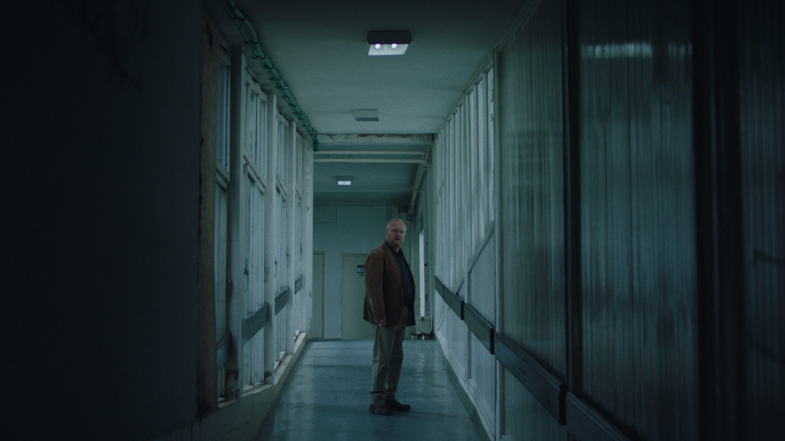 Niška premijera filma "Mačji krik" u petak 1 Cats Cry 1 1 scaled
