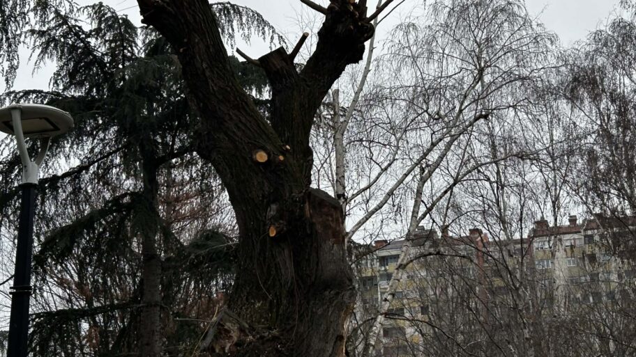 b1ad2093 c173 4e74 9511 3c4fbf90e432