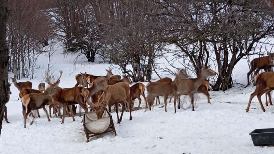 b6d45af0 0360 11f1 bab5 81d0d0b0abce