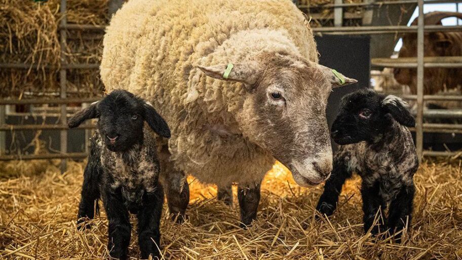 d57684b0 0748 11f1 8fcf 193eb7dfcf8f