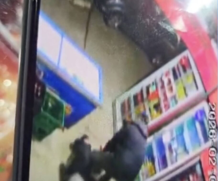 dragoslav pavlovic amanda