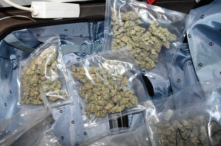 Uhapšen diler iz Niša - uhvaćen sa 2,6 kilograma marihuane 20 marihuana