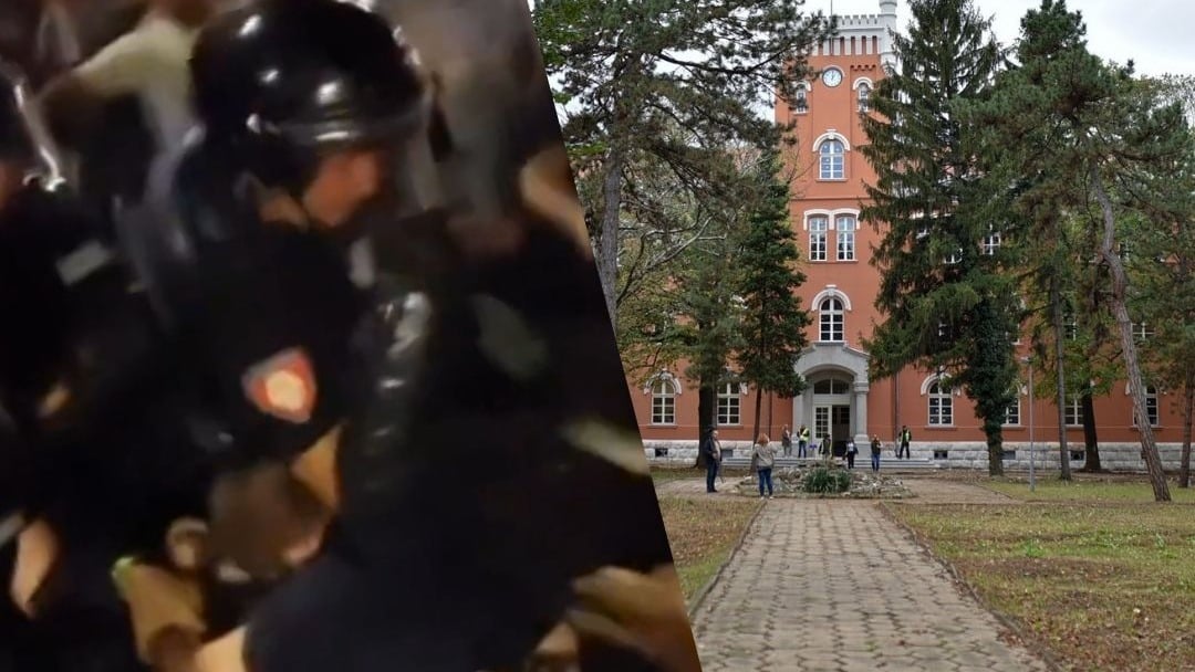 Još jedno suđenje studentu u Nišu - udaran u potiljak na zemlji, sude mu za satelitsku palicu u rancu 1 25