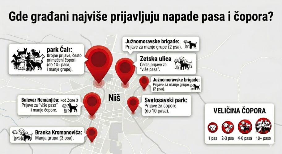 Gde Nišlije prijavljuju čopore, a gde i koliko je pasa JKP "Mediana" uhvatila i zbrinula 2 Gemini Generated Image vgd2n4vgd2n4vgd2