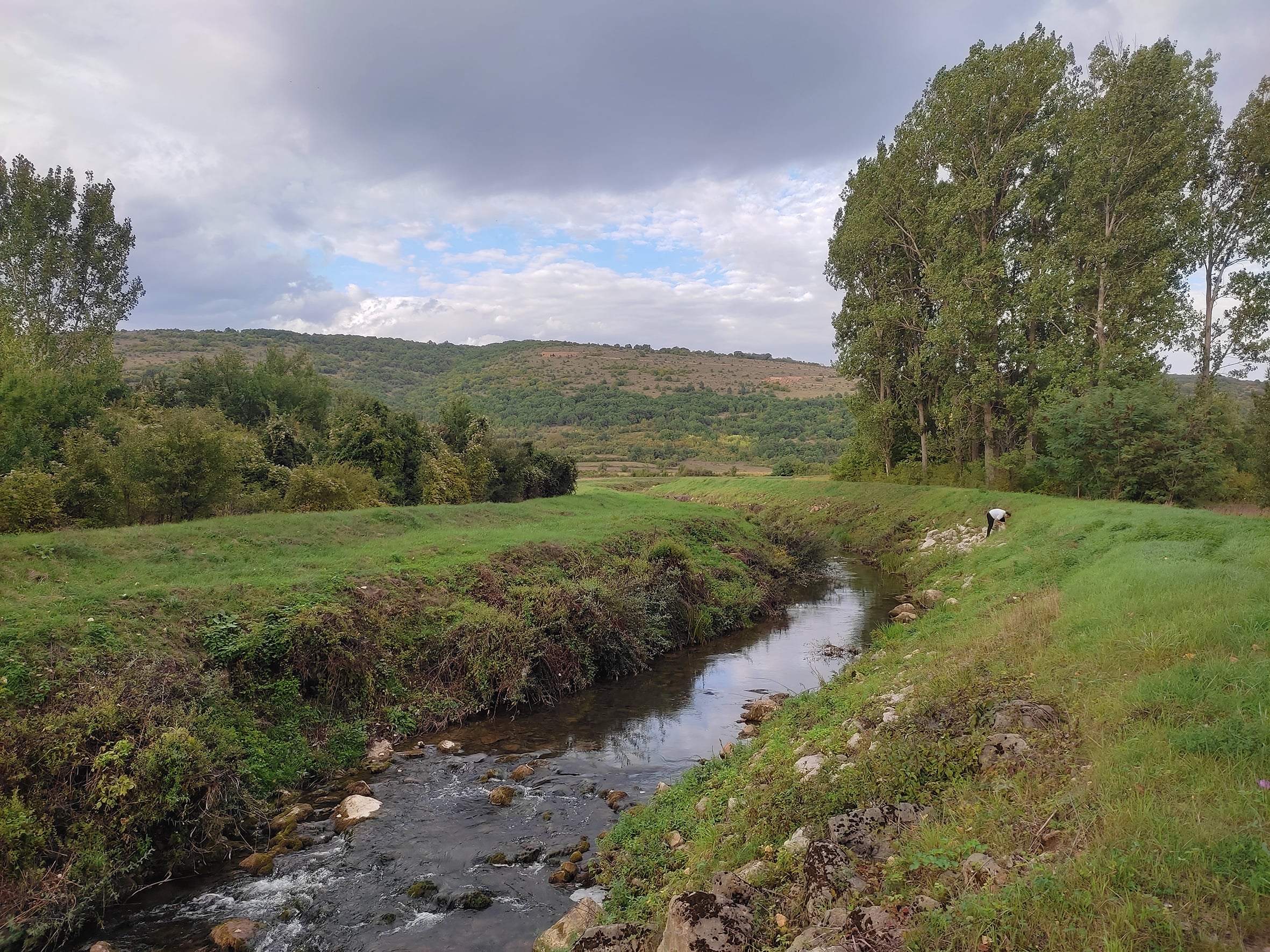 Na obali Nišave kod Dimitrovgrada pronađena jedna od najkrupnijih i najatraktivnijih vrsta insekata 1 Lokacija gde je prvi put pronadjen Carabus scabrosus u Srbiji pored Nisave Foto Nikola Vesovic1