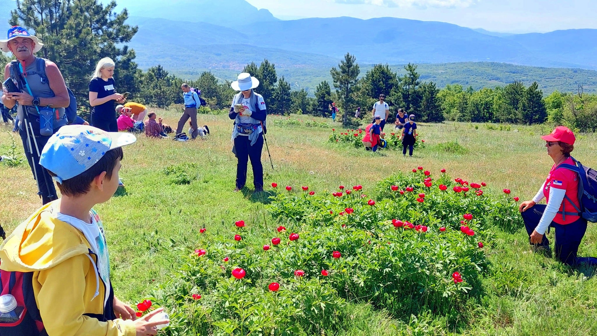 pohod bozuri foto pdsuvaplanina