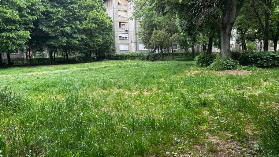 Građani Niša se žale na krpelje u međublokovskom zelenilu kod parka Svetog Save 2 IMG 7268