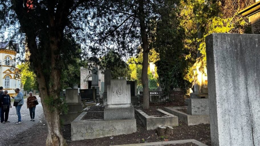 Niško Staro groblje na prekretnici - između zaborava i memorijalnog parka 7 Staro Groblje 1