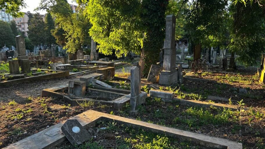 Niško Staro groblje na prekretnici - između zaborava i memorijalnog parka 8 Staro Groblje 5