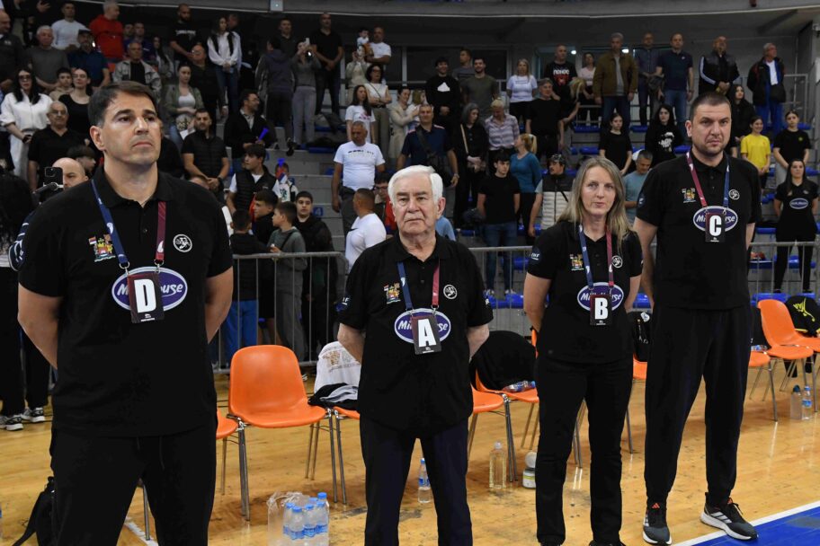 naisa nis foto arkus liga 8