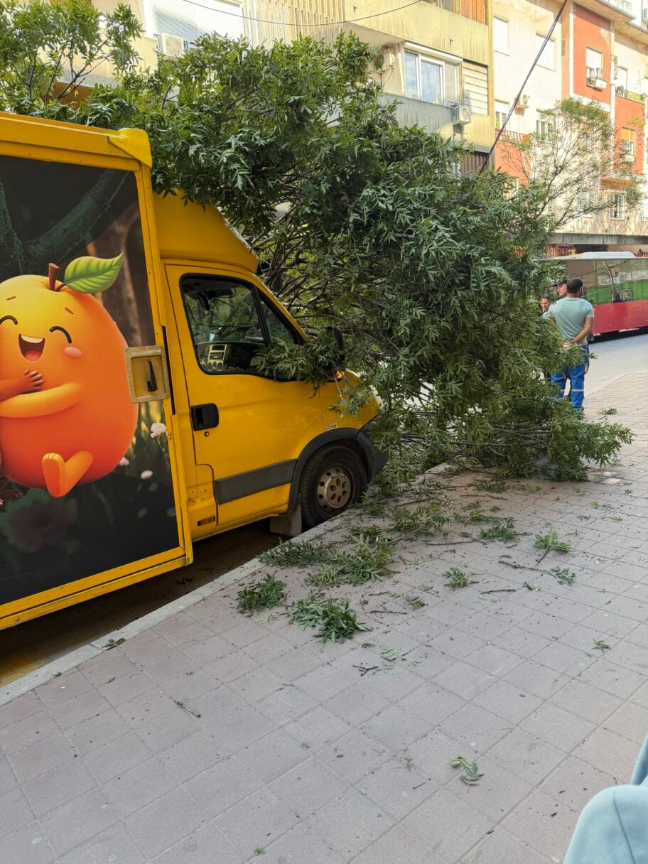 Palo drvo u Obrenovićevoj ulici u Nišu, blokiran saobraćaj 3 IMG 1242