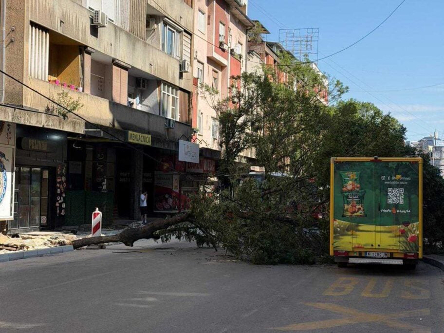 Palo drvo u Obrenovićevoj ulici u Nišu, blokiran saobraćaj 3 IMG 20260618 093255 227