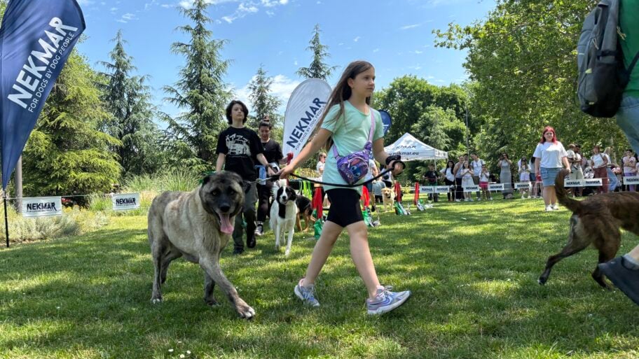 Psi se takmičili, građani donirali: Humanitarna akcija za malog Matea okupila Nišlije u Čairu 4 IMG 5410